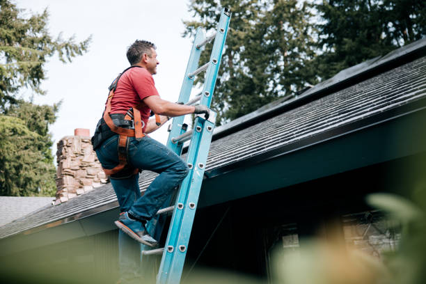 Best Roof Ventilation Installation  in Yellow Springs, OH